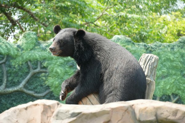 Les fonds marins, des habitats riches et variés